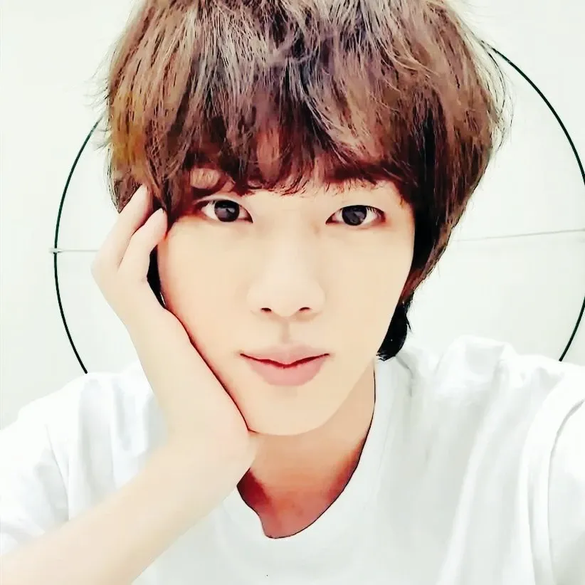 A moment captured by Jin (BTS)'s fan