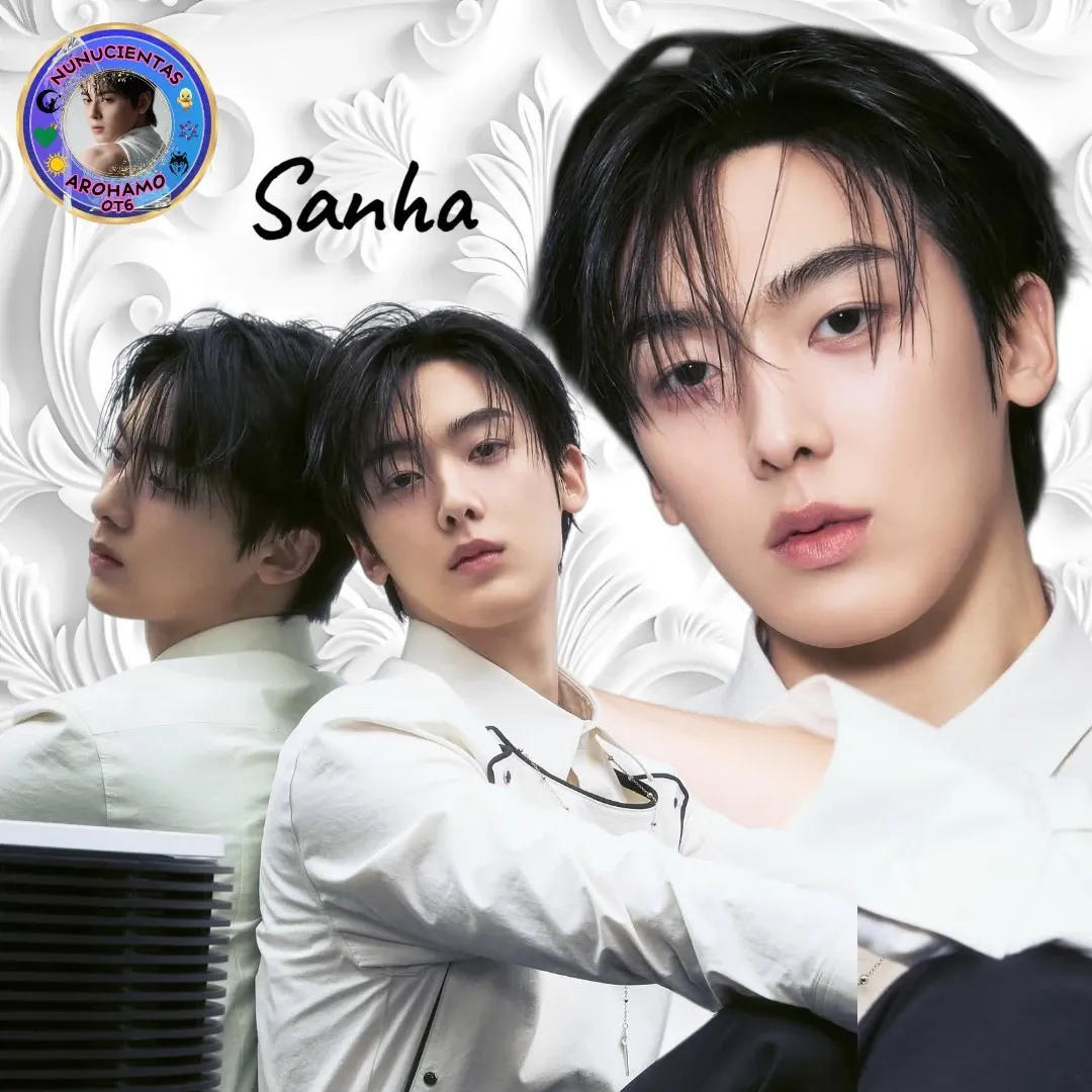A moment captured by Sanha (ASTRO)'s fan