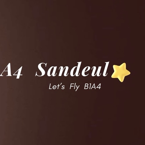 サンドゥル (B1A4)ファンが撮った瞬間