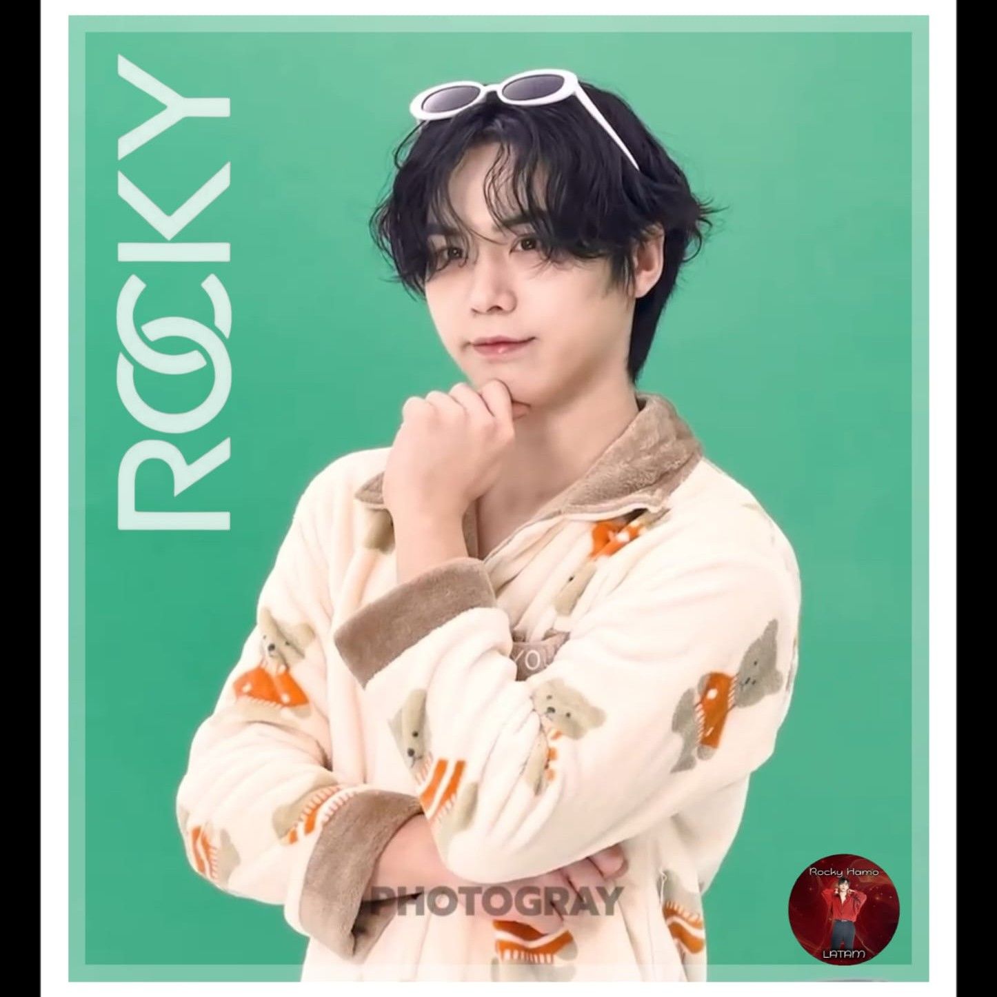 Recent activity shot of Rocky