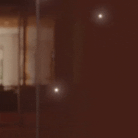 채령 (ITZY) 팬이 찍은 순간