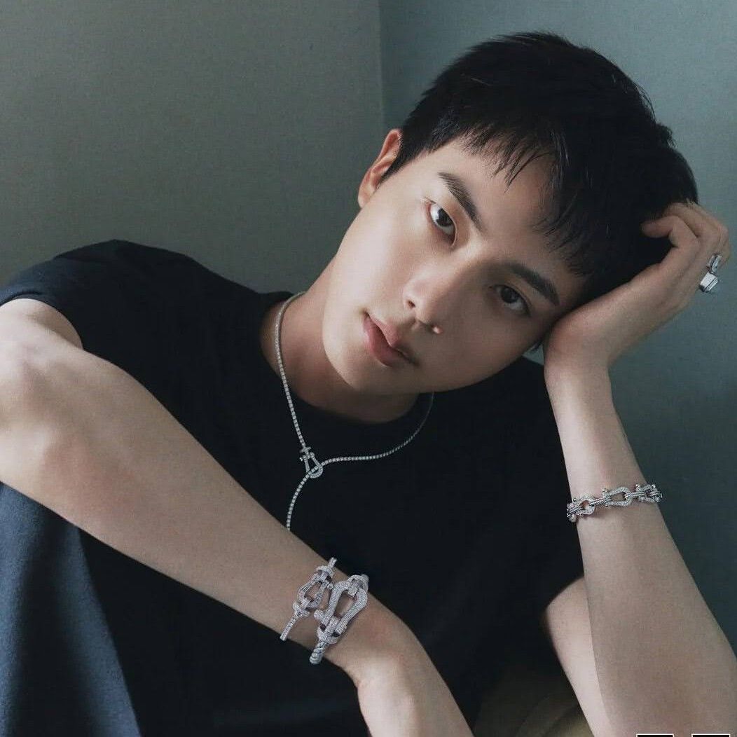 진 (방탄소년단) 팬이 찍은 순간