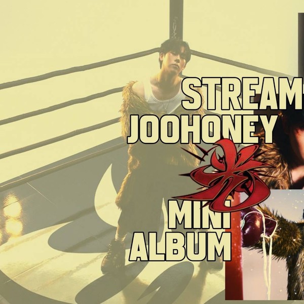 Popular profile picture of MONSTA X loved by fans