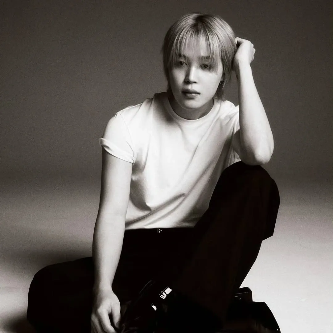 지민 (방탄소년단) 팬이 찍은 순간