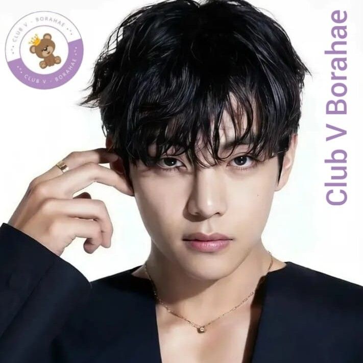 Potret di balik layar V (BTS)