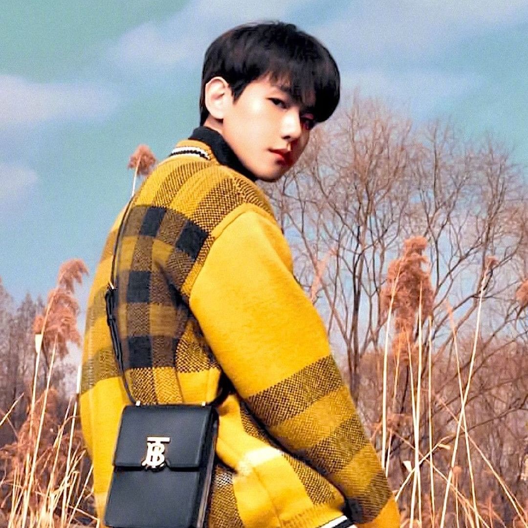EXO 팬이 찍은 순간