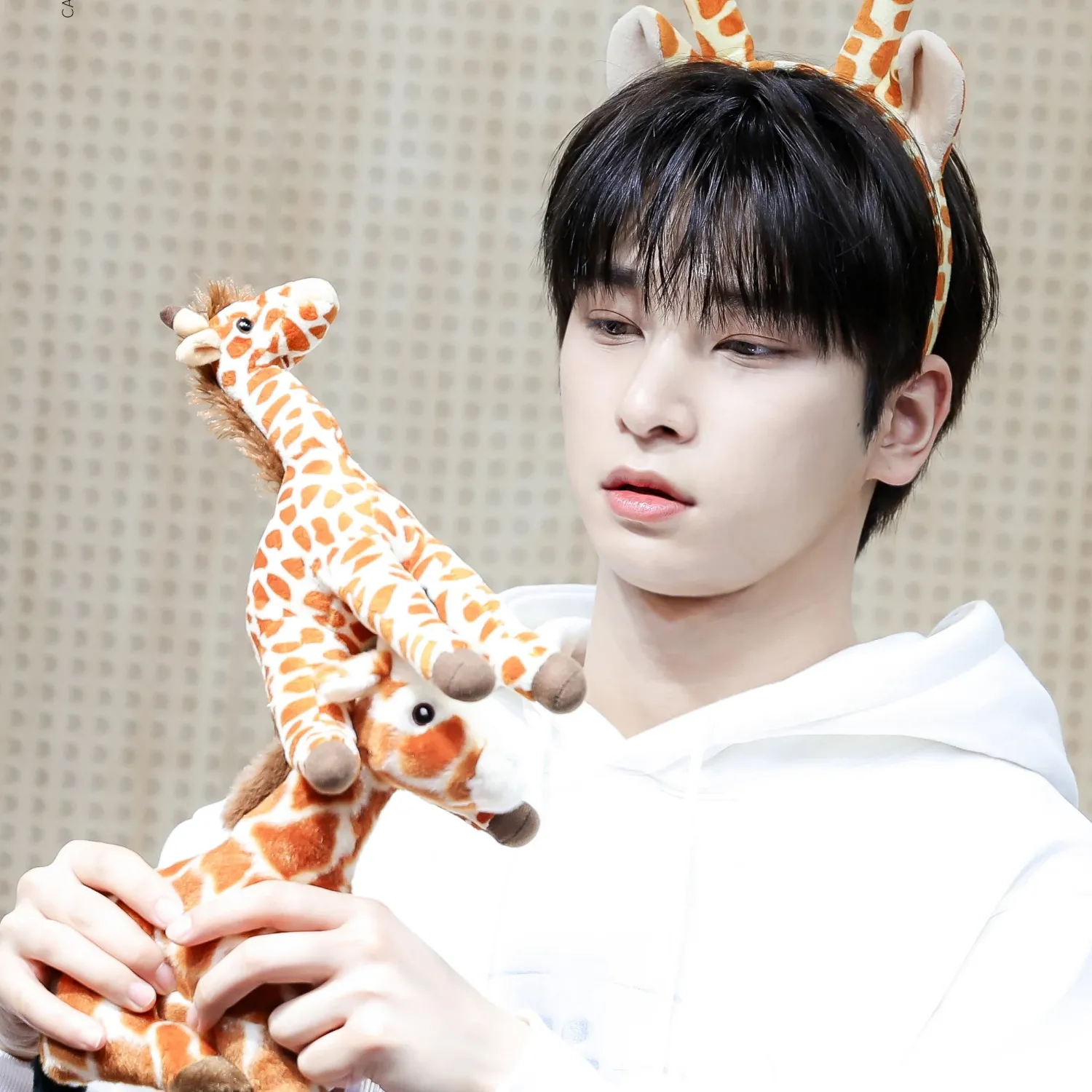 Latest photo of Hangyul (POLARIX)