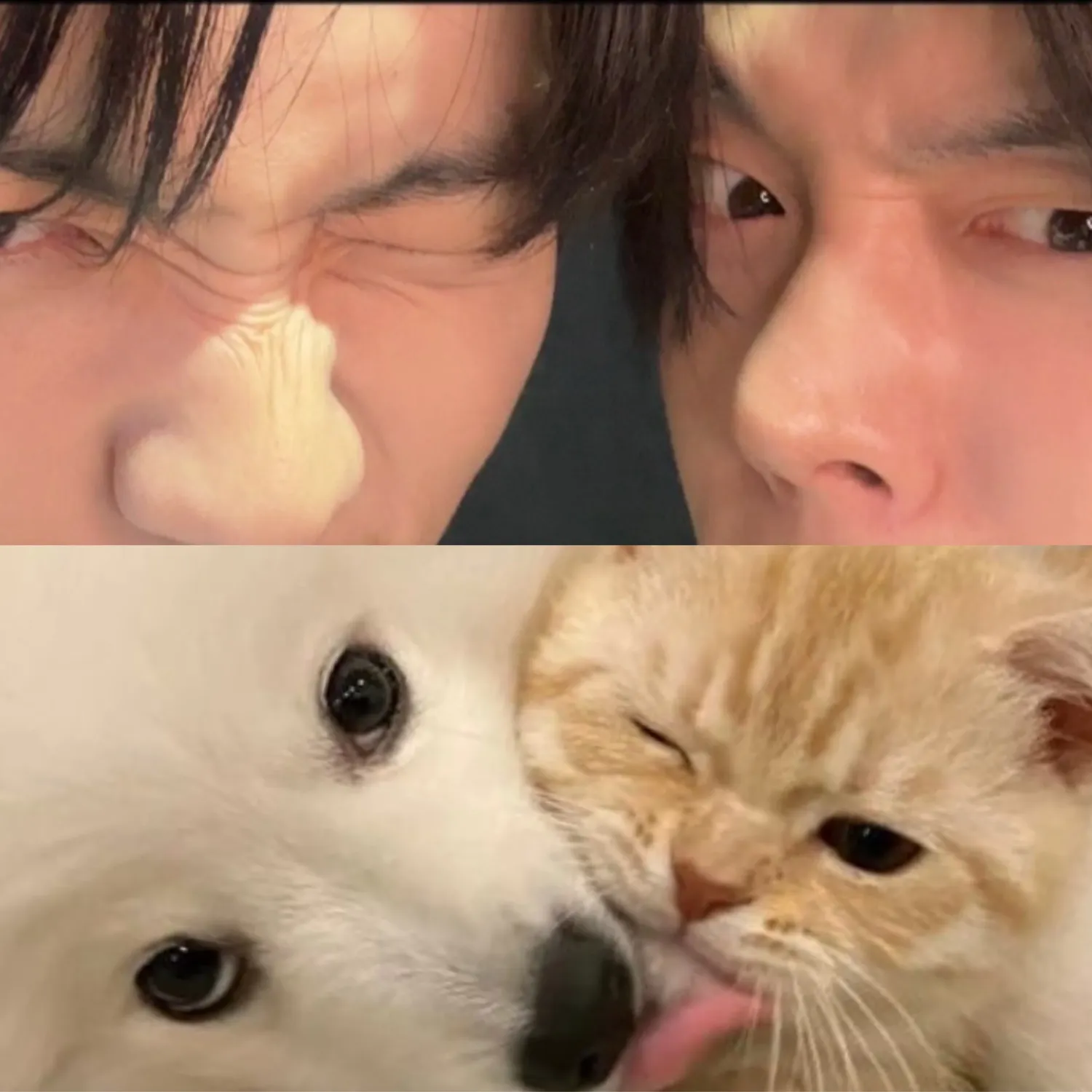 Foto aktivitas terbaru TOMORROW X TOGETHER