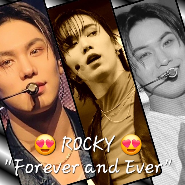 Recent activity shot of Rocky