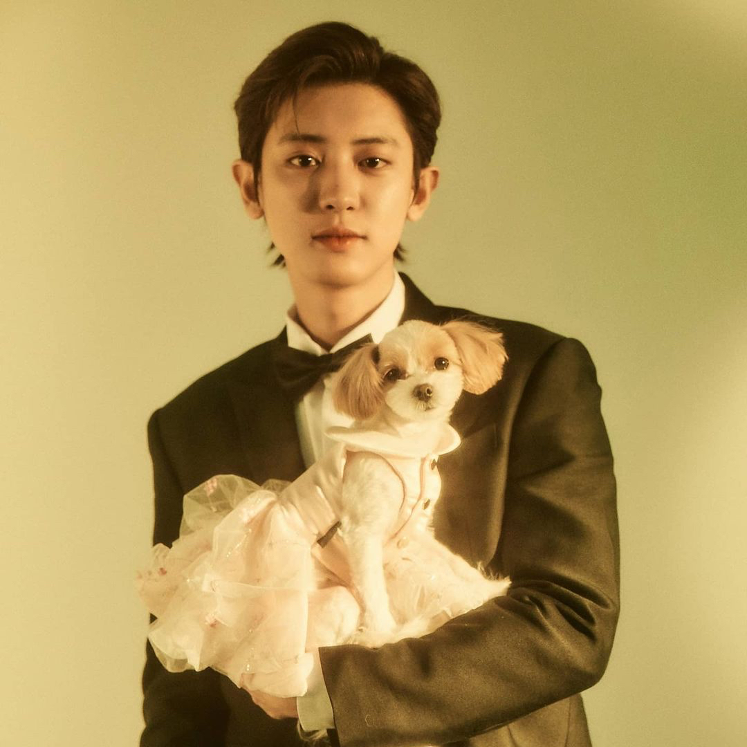 찬열 (EXO)의 최신 사진