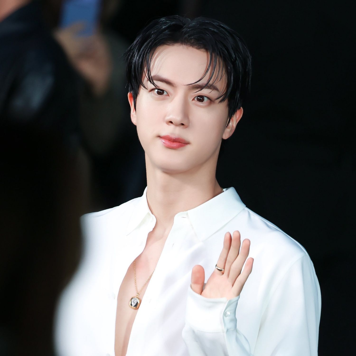 진 (방탄소년단) 팬이 찍은 순간