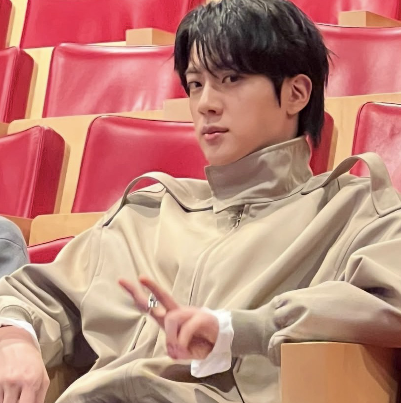 A moment captured by Jin (BTS)'s fan
