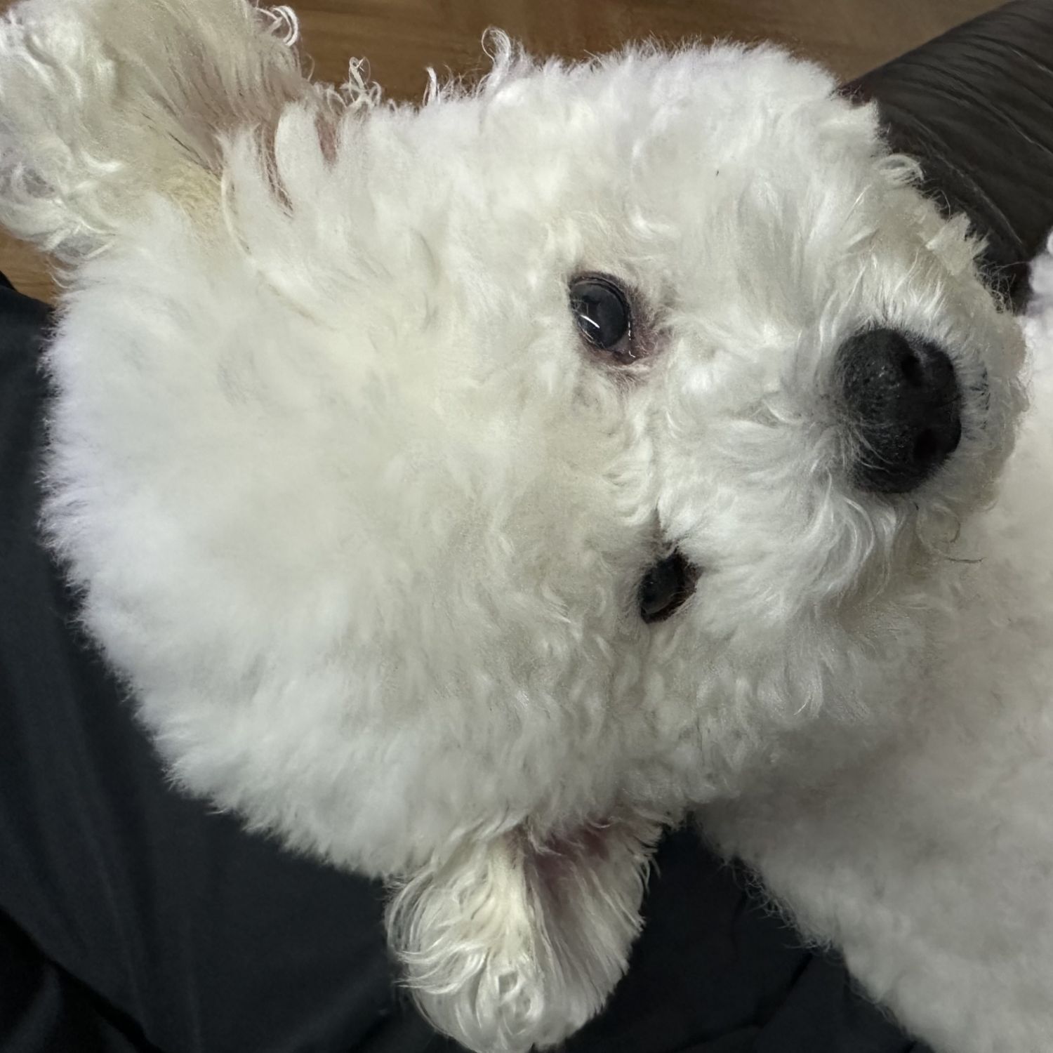 EXO의 최신 사진