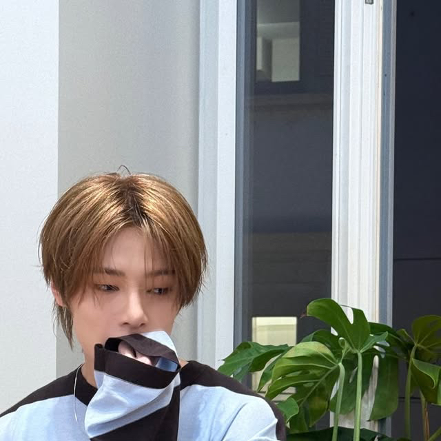 A moment captured by I.N (Stray Kids)'s fan