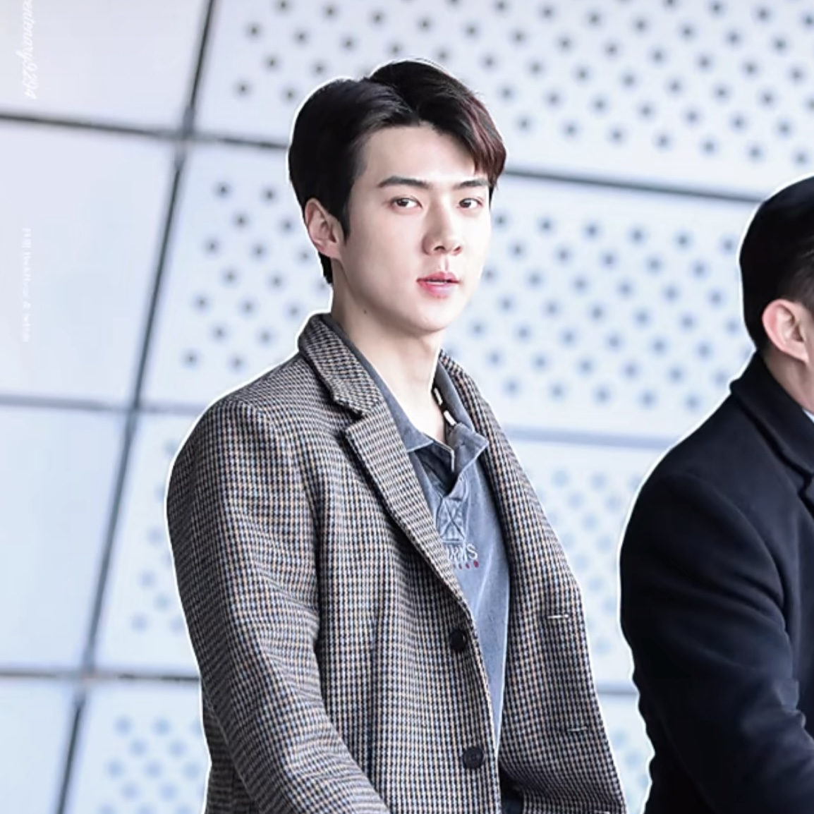 세훈 (EXO) 최근 활동샷