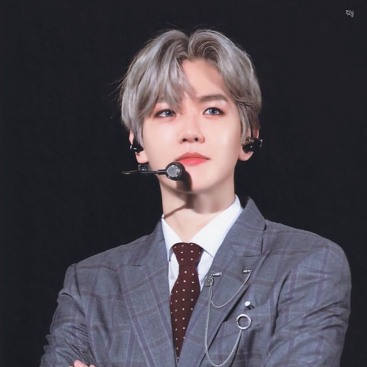 伯賢 (EXO)的最新照片