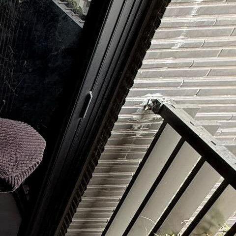 Potret di balik layar Solar (MAMAMOO)