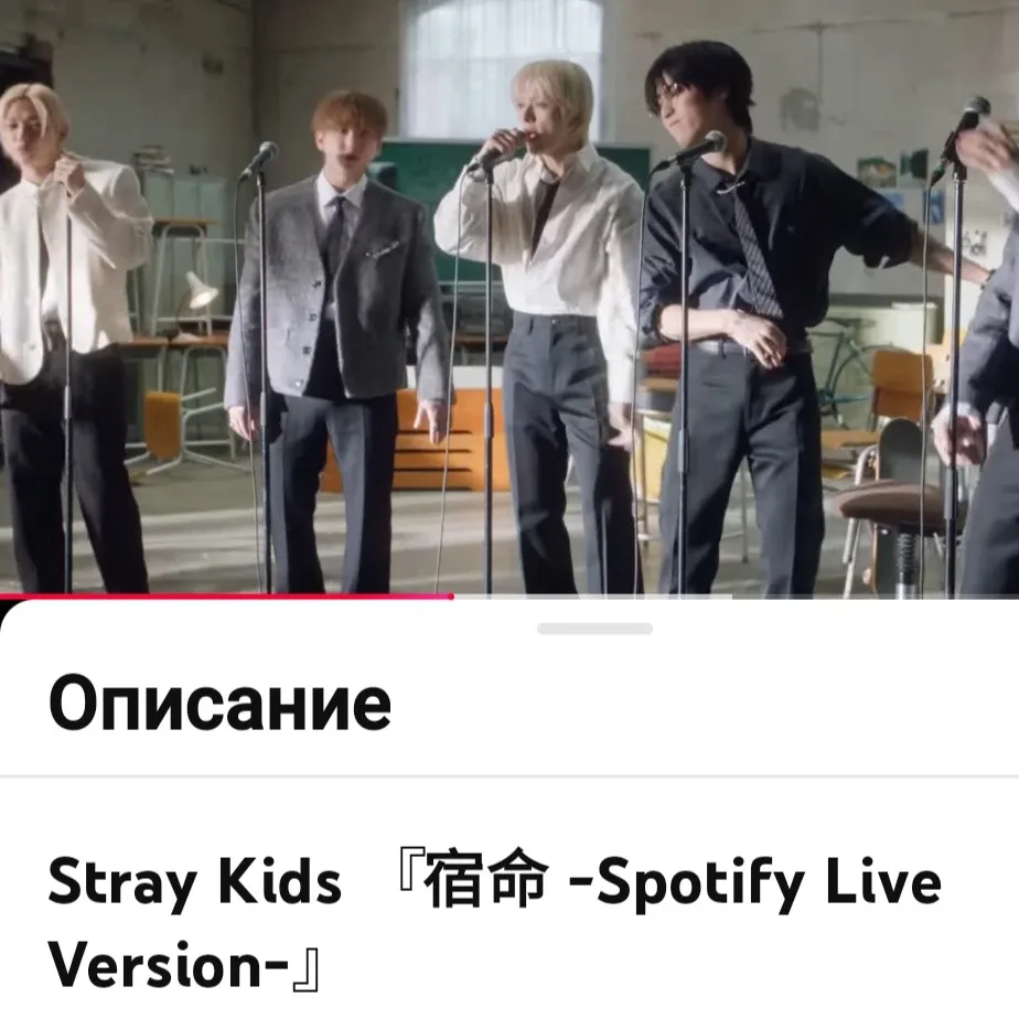 Stray Kids 팬이 찍은 순간