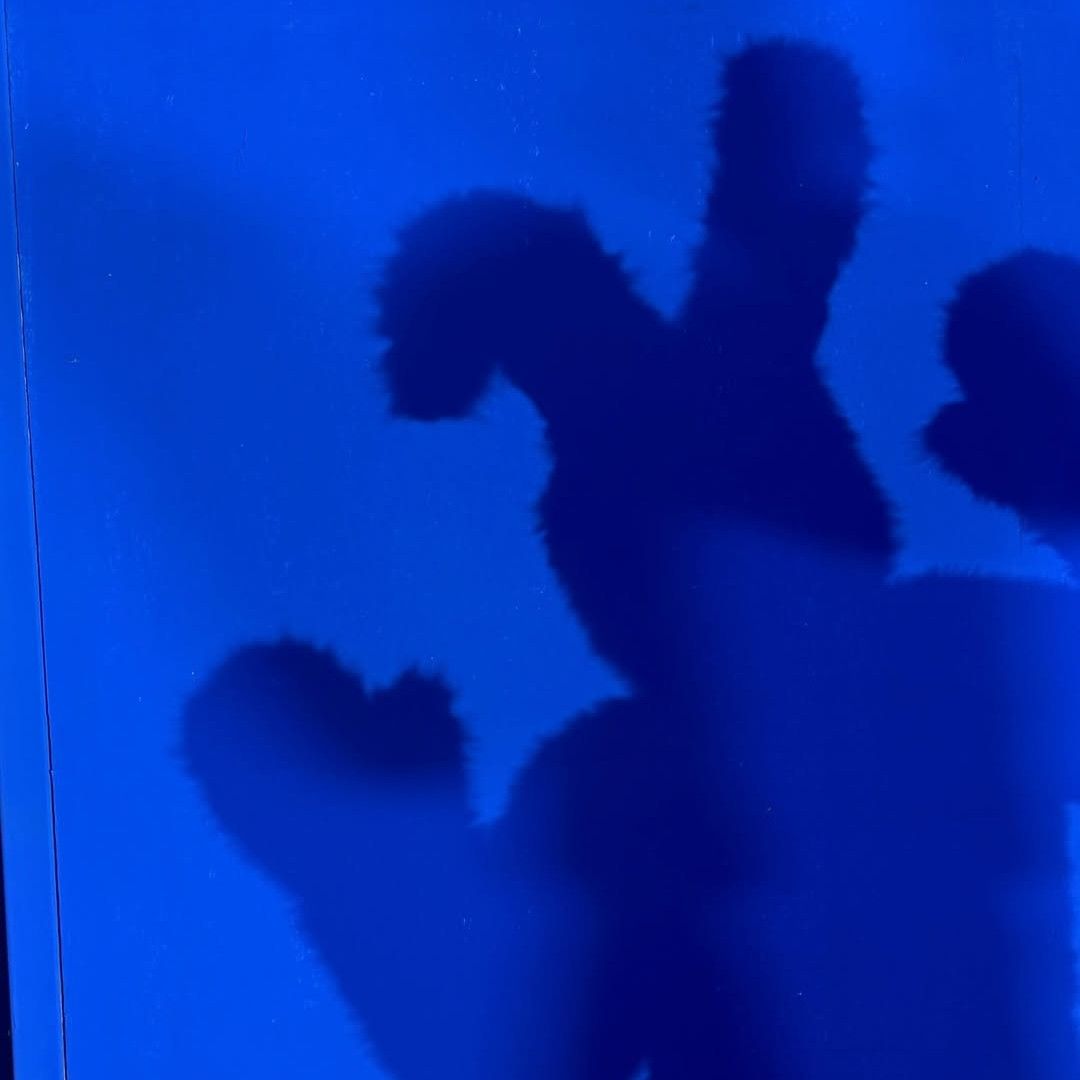 모모 (TWICE)의 최신 사진