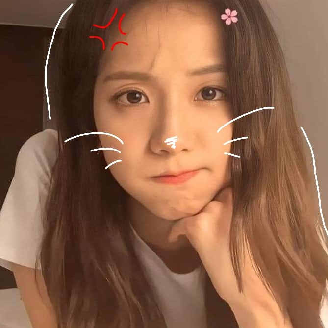 지수 (BLACKPINK) 팬이 찍은 순간