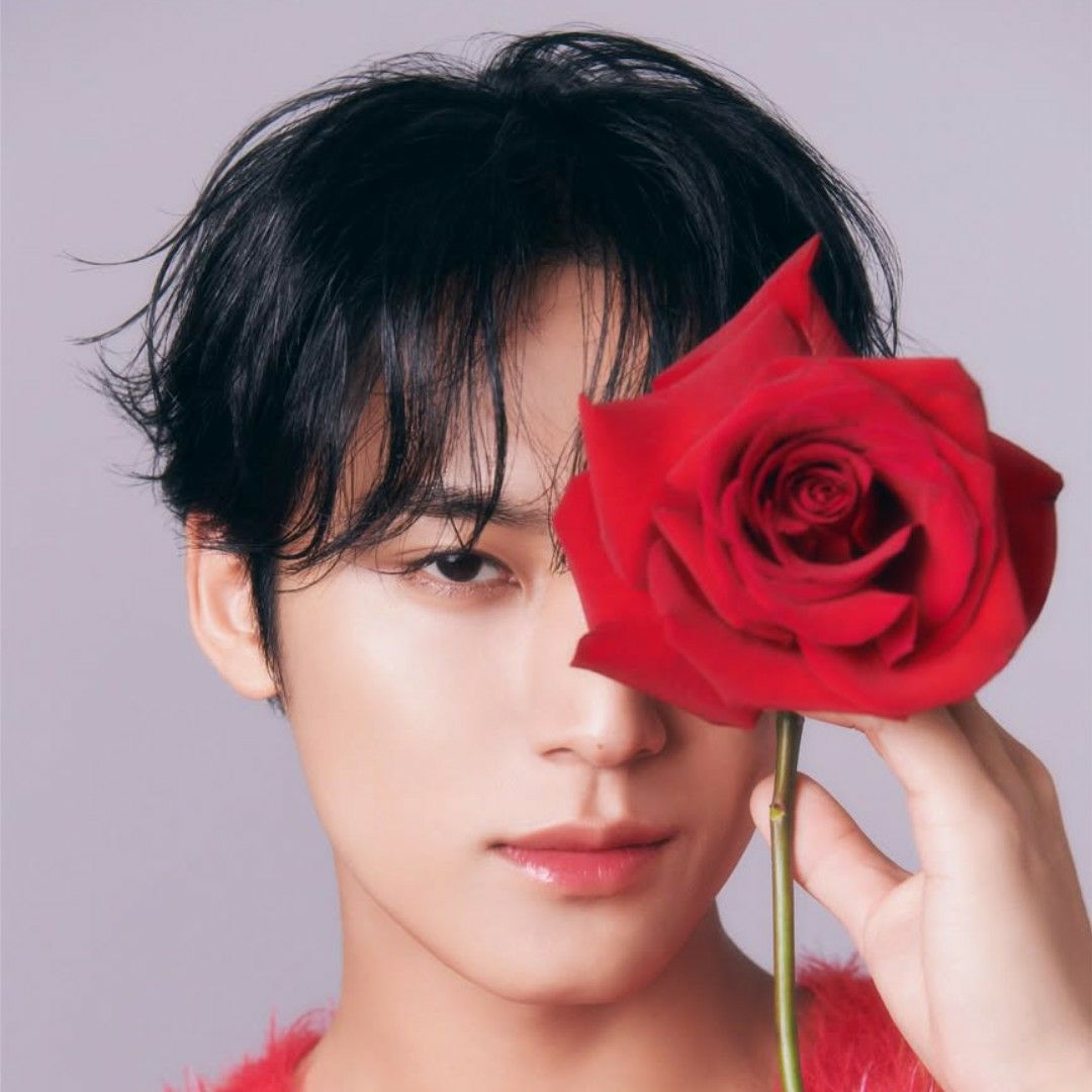 Recent activity shot of Mingyu (SEVENTEEN)