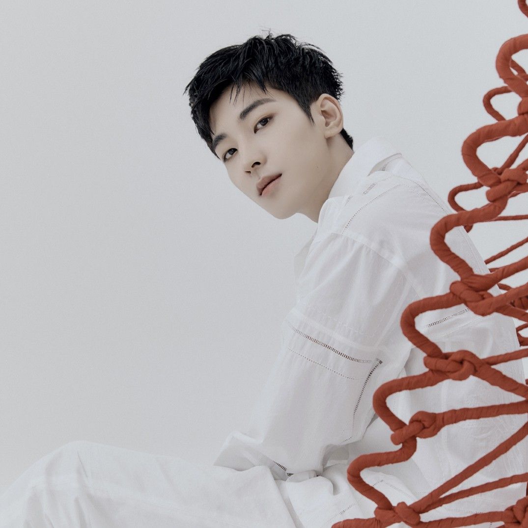 원우 (세븐틴) 팬이 찍은 순간