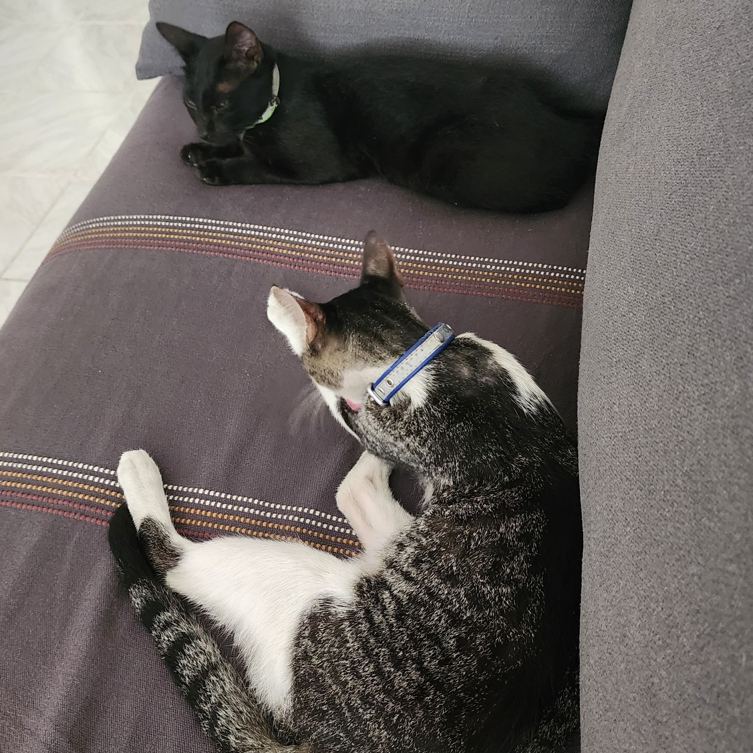 세븐틴 최근 활동샷