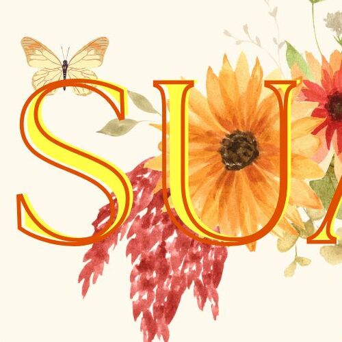 A moment captured by SU A (DREAMCATCHER)'s fan