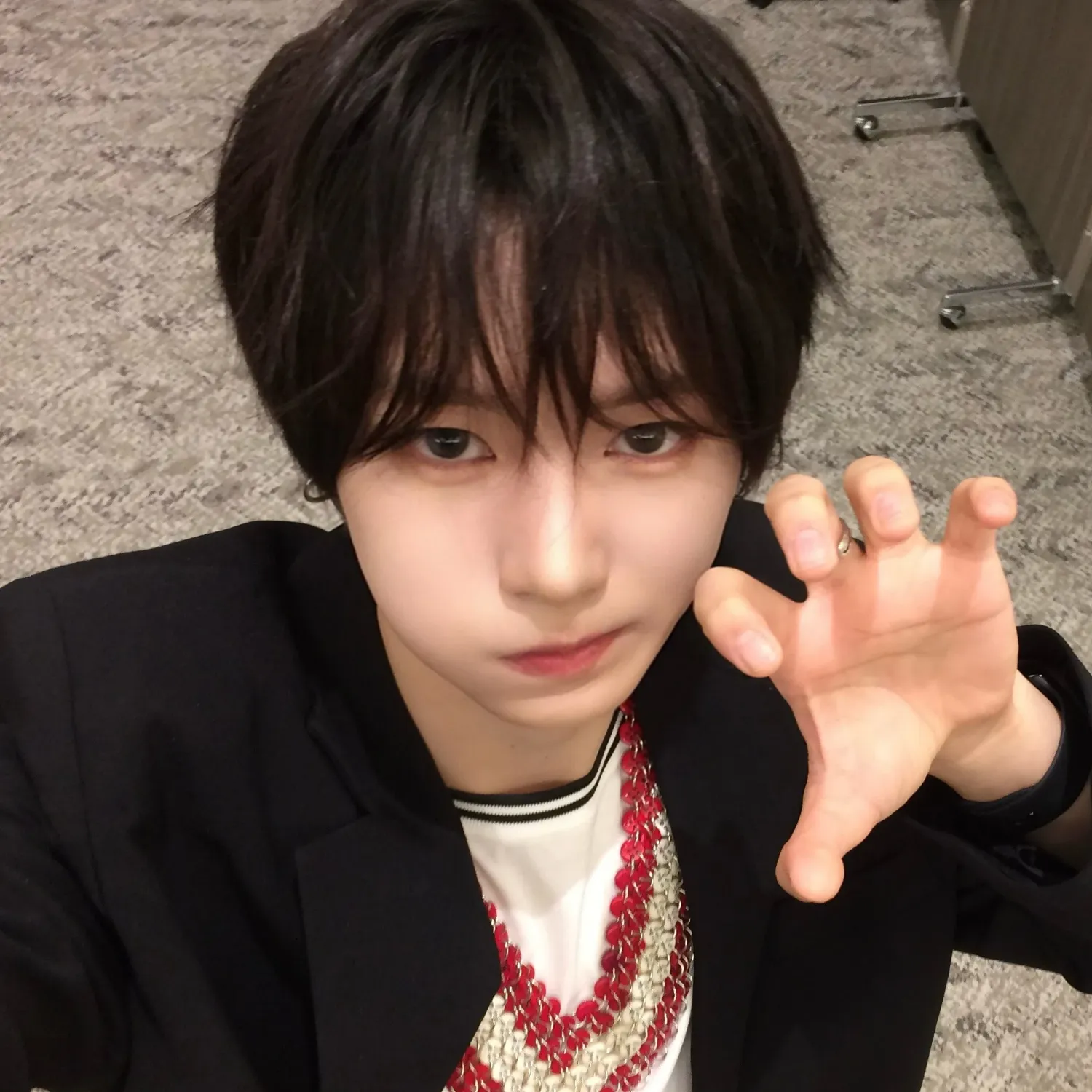 조우안신 (알파드라이브원) 팬이 찍은 순간