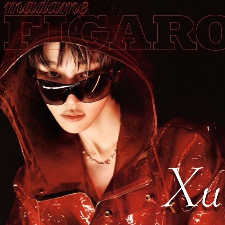 A moment captured by The 8 (SEVENTEEN)'s fan