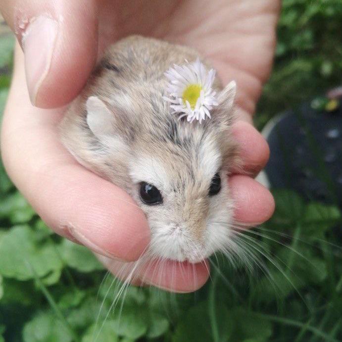 Recent activity shot of Key (SHINee)