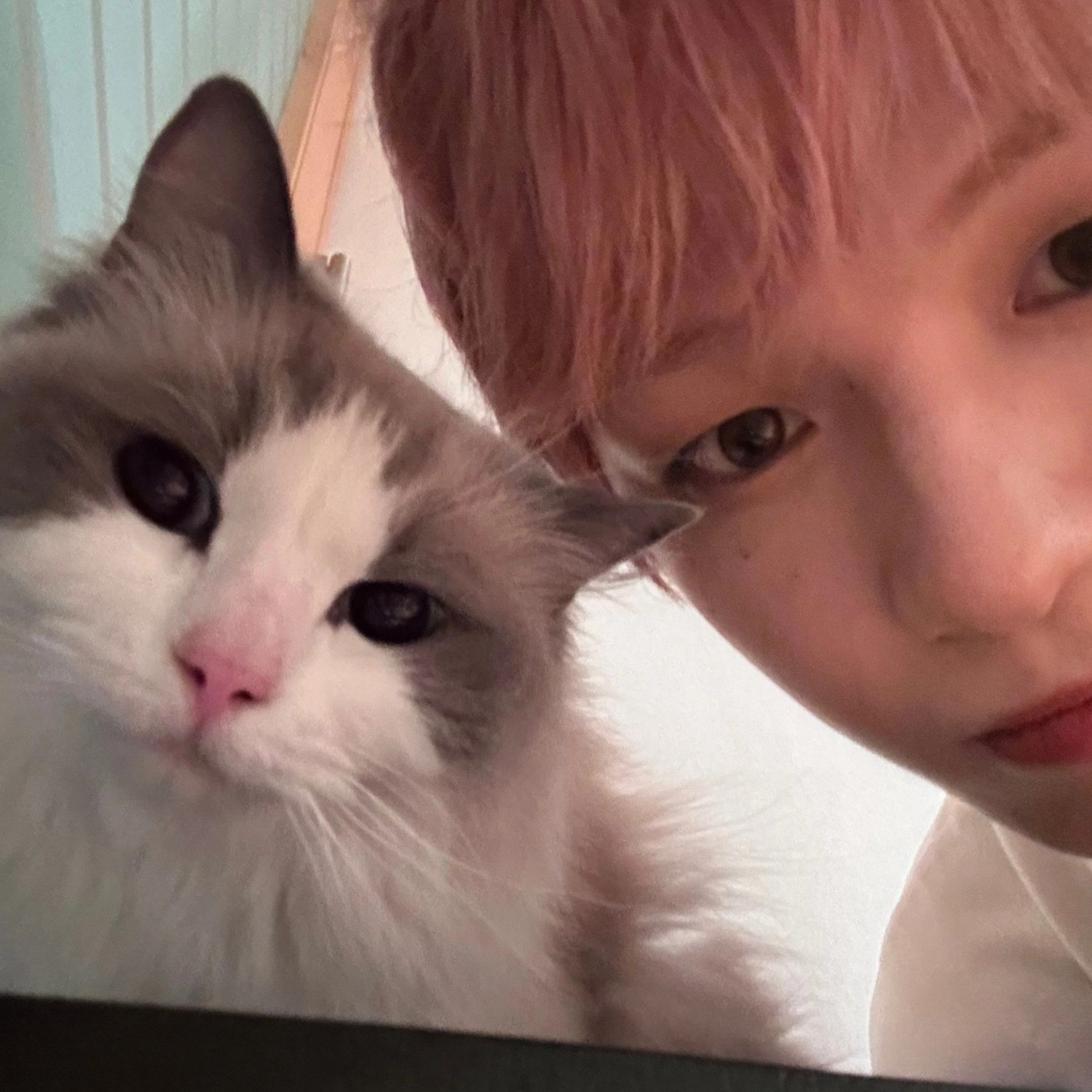 Foto aktivitas terbaru Kang Daniel