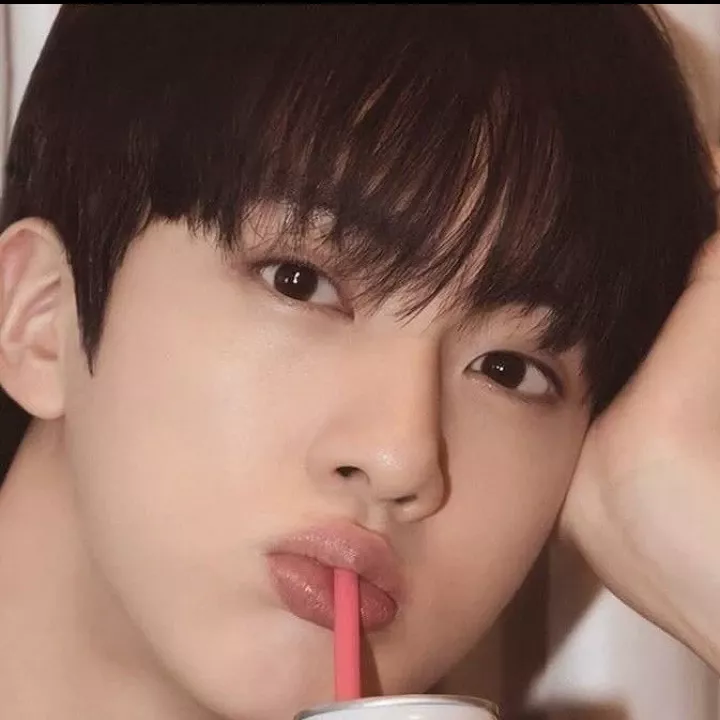 진 (방탄소년단) 팬이 찍은 순간