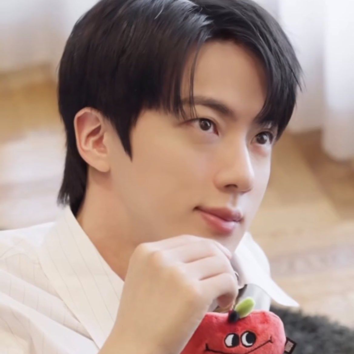 A moment captured by Jin (BTS)'s fan