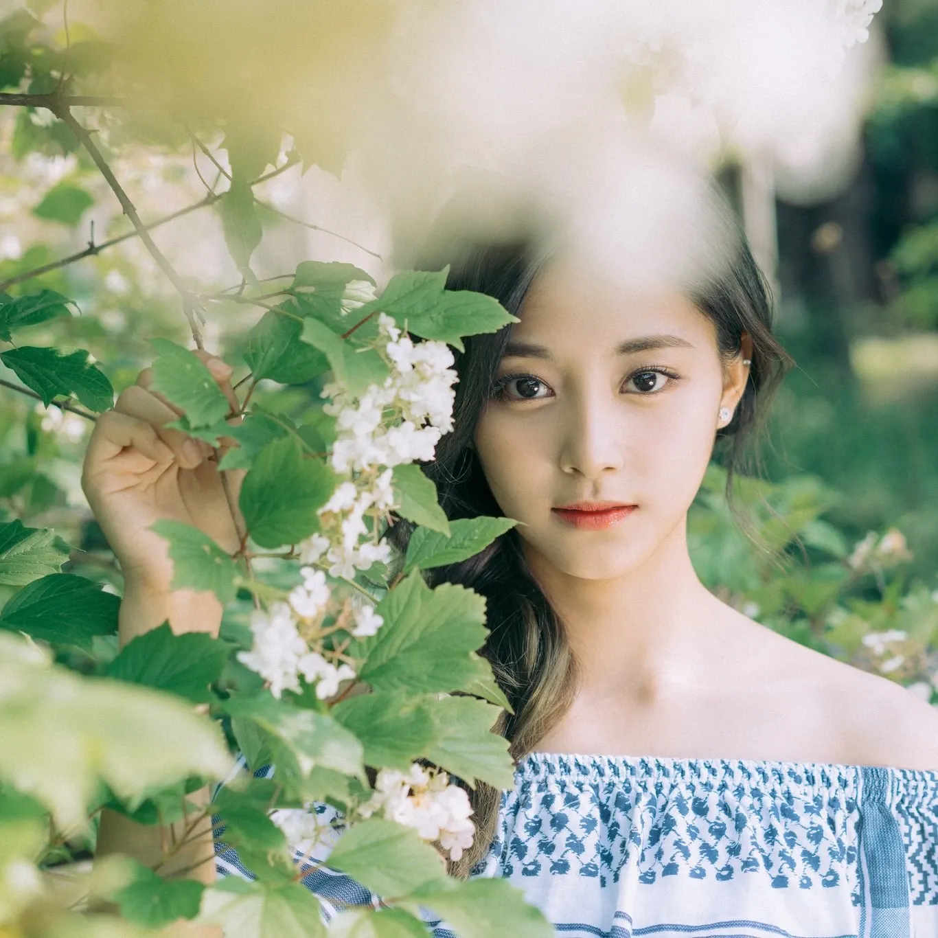 Recent activity shot of Tzuyu (TWICE)