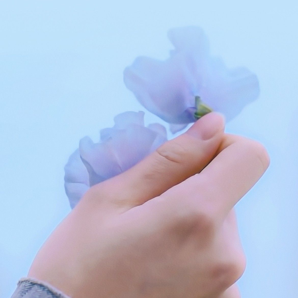 Potret di balik layar Kim Jaehwan