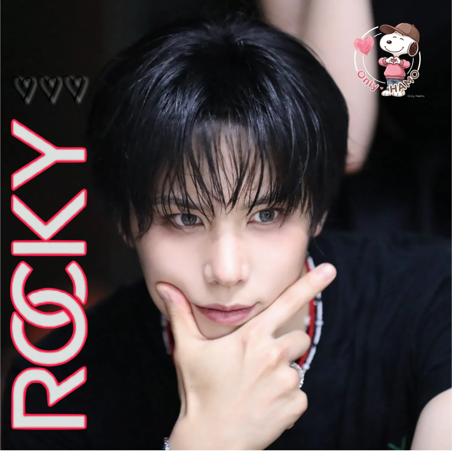 Latest photo of Rocky