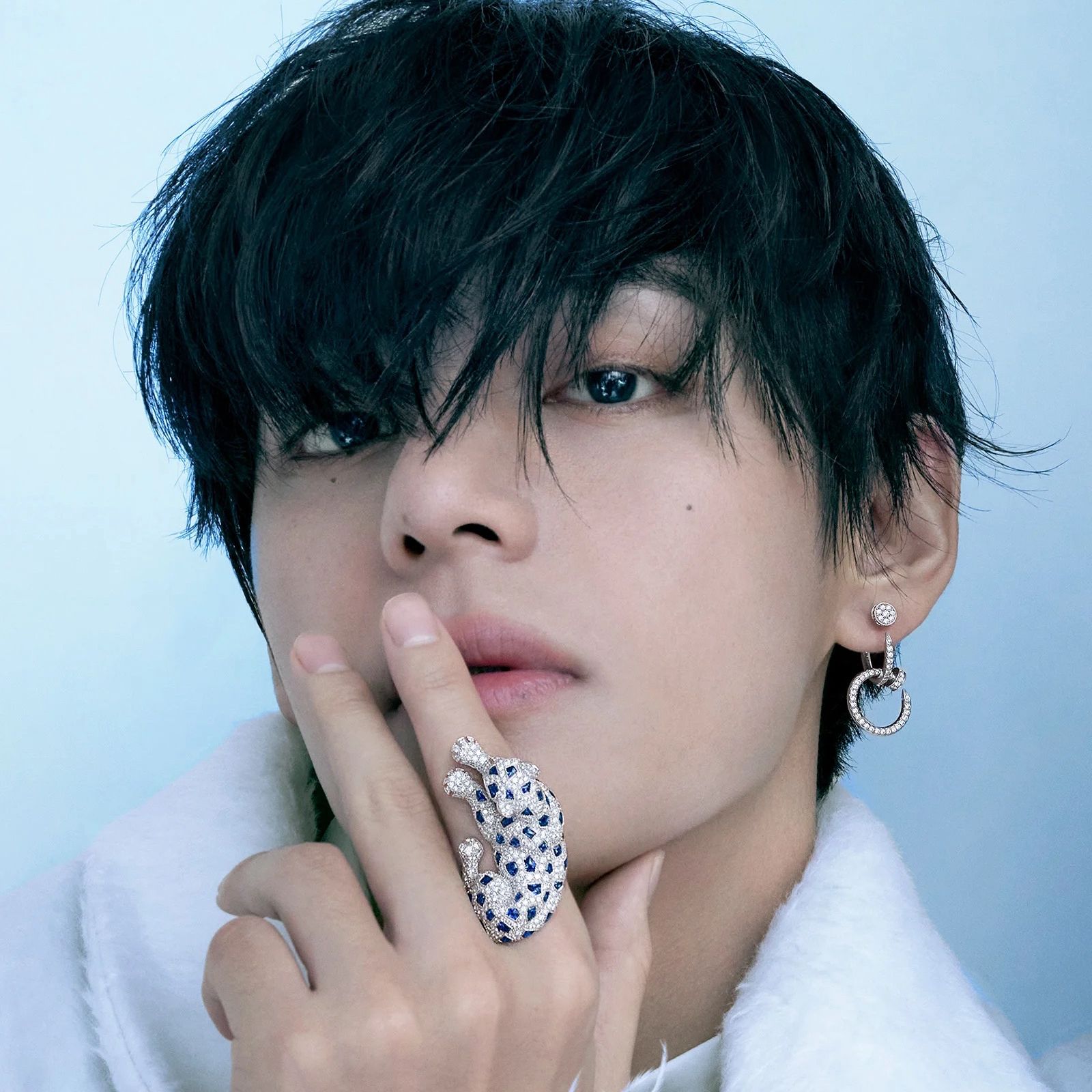 뷔 (방탄소년단) 팬이 찍은 순간