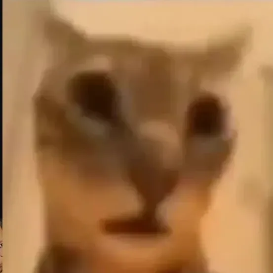 A moment captured by TOMORROW X TOGETHER's fan