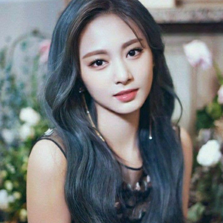 쯔위 (TWICE)의 최신 사진