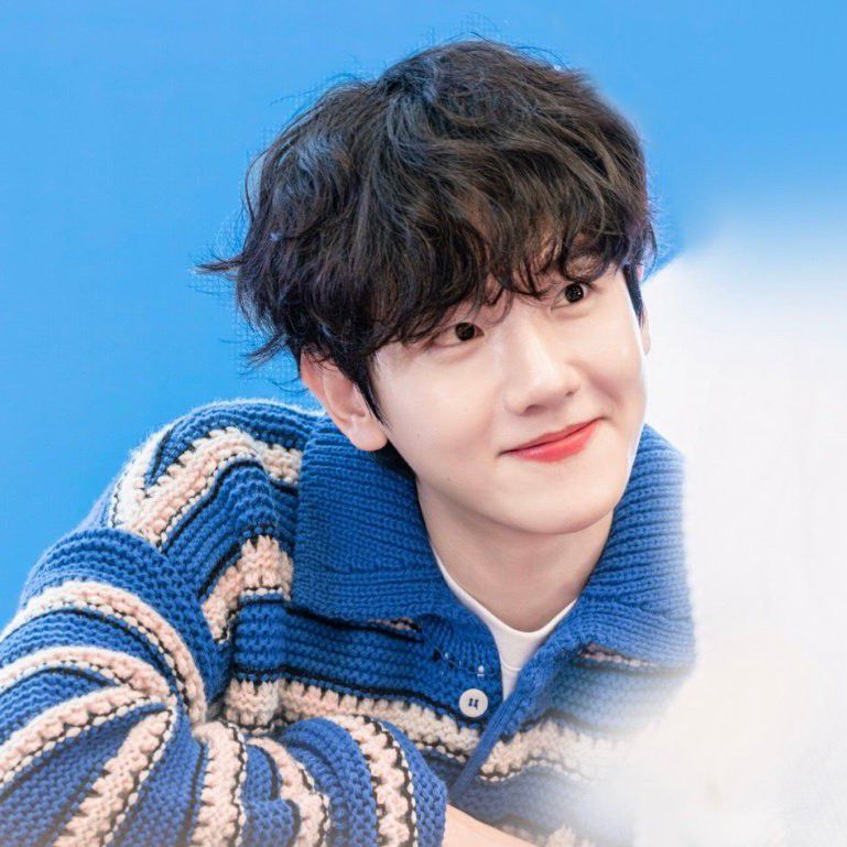 伯賢 (EXO)的幕後花絮