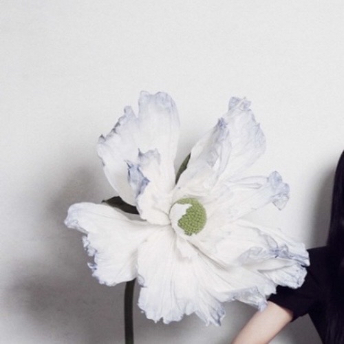 K-POP posts beloved by ME:I fans