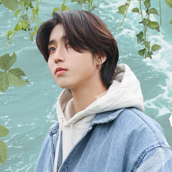 Signature photo of HAN (Stray Kids) capturing their charm