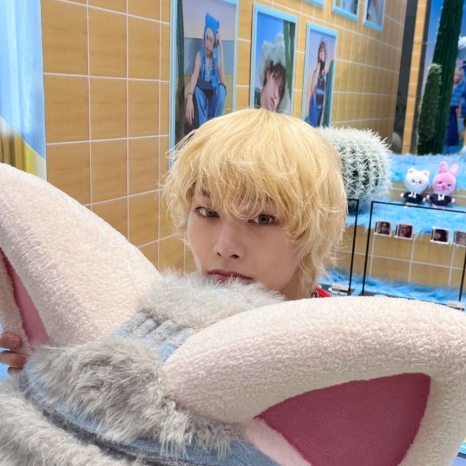 Stray Kids 팬이 찍은 순간