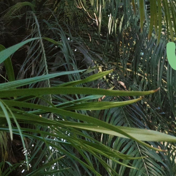 A moment captured by Seoho (ONEUS)'s fan