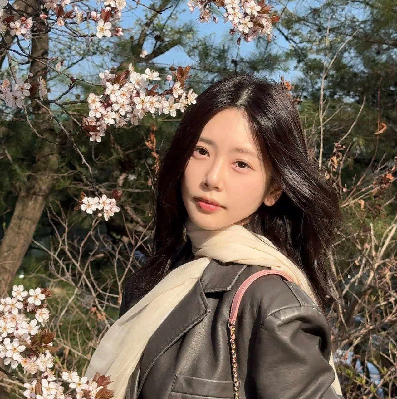 Foto aktivitas terbaru DREAMCATCHER