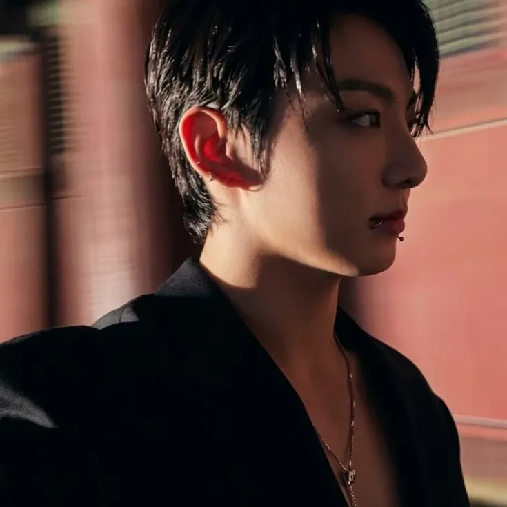 방탄소년단 팬이 찍은 순간