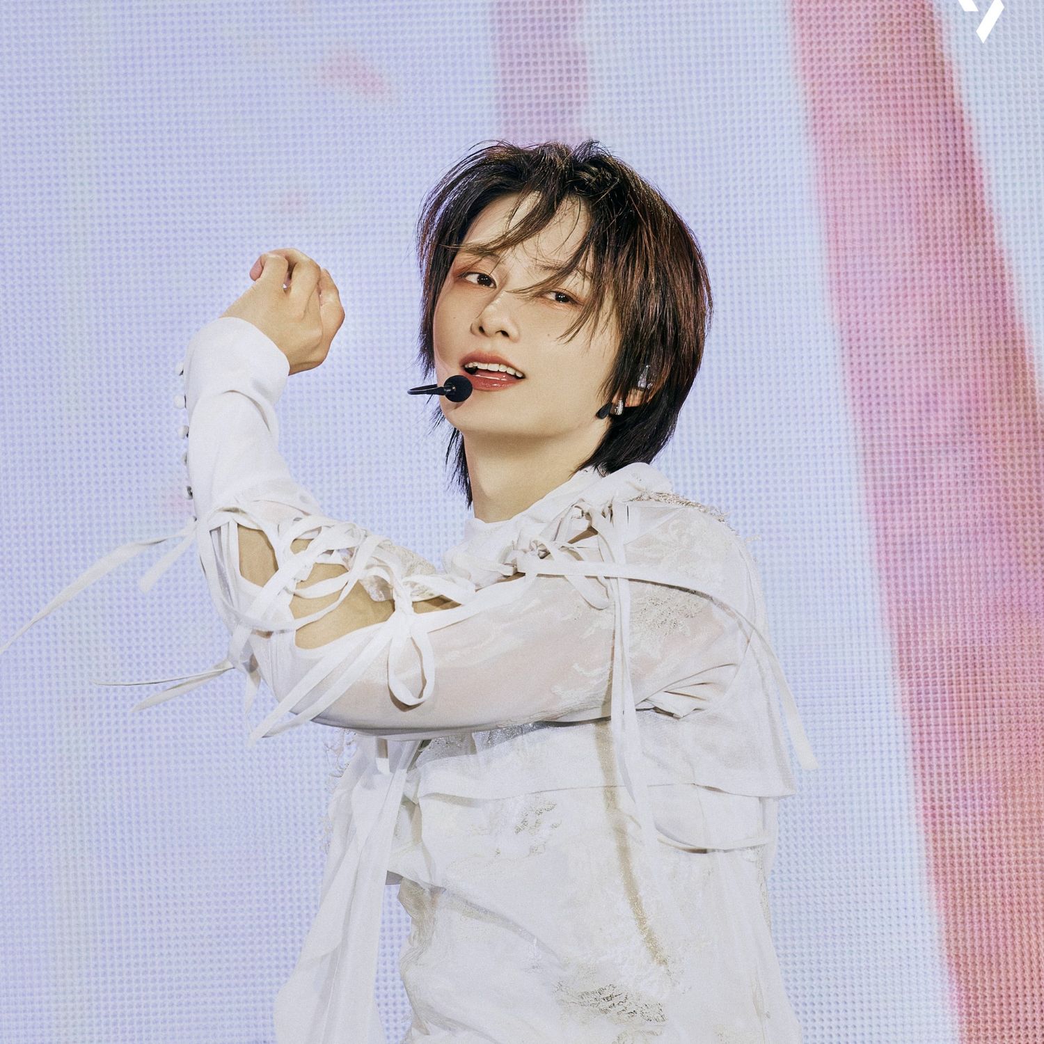 세븐틴의 비하인드 컷