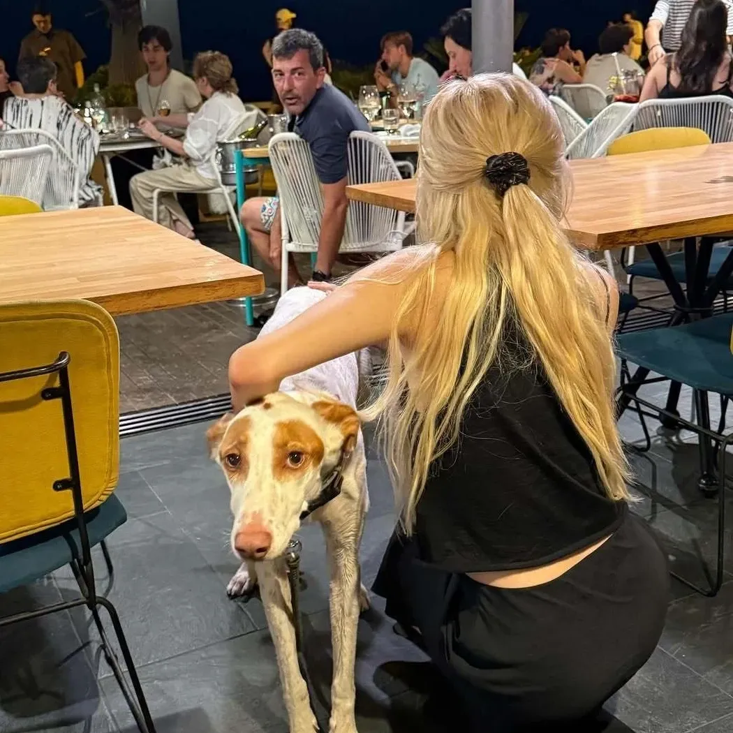 ロゼ (BLACKPINK)ファンが撮った瞬間