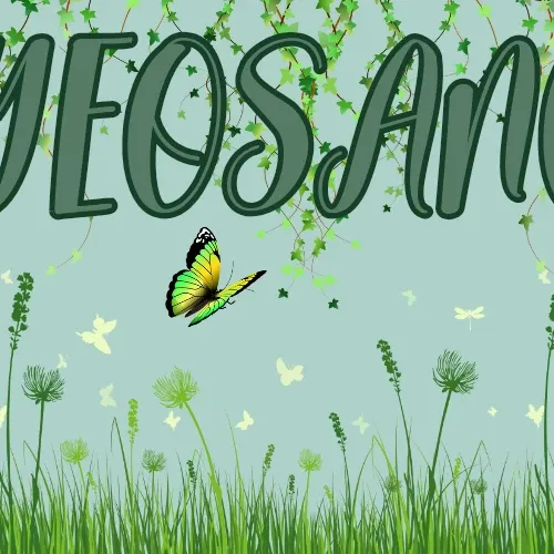 呂尚 (ATEEZ)的幕后花絮